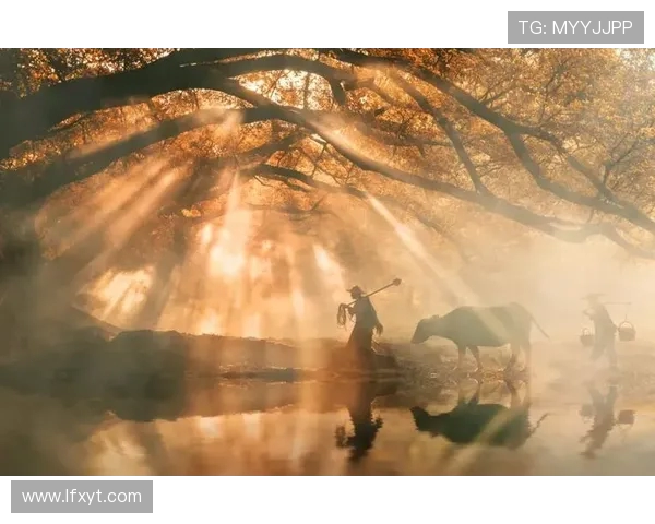 何思雨：在风雨中绽放的坚韧与希望的旅程