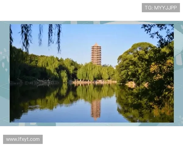 北大与清华精彩对决视频下载全攻略，尽享学术盛宴与校园文化魅力