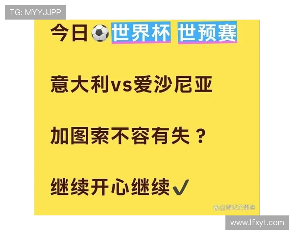 意大利与爱沙尼亚足球历史交锋记录分析与回顾