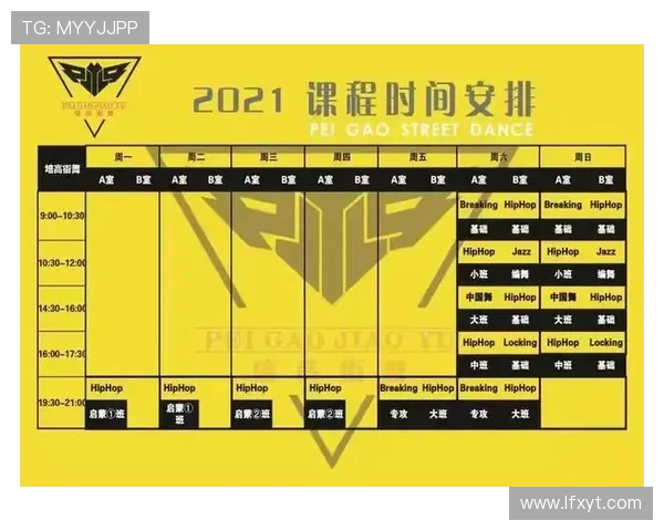 街舞战术与团队协作成都街舞队的成功运营模式探析