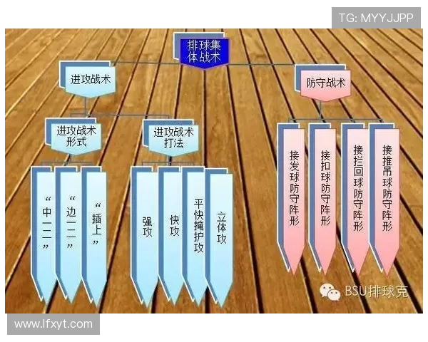 上海排球队反击战术解析与实战应用探讨