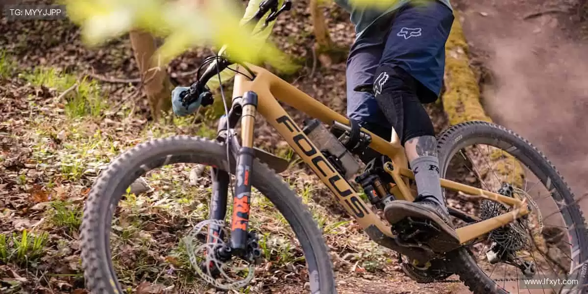 🏆 从看台到赛场,你的每一步都是传奇!🏃♂️